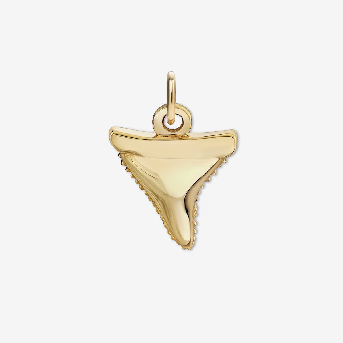 SHARK TOOTH CHARM - The Fête