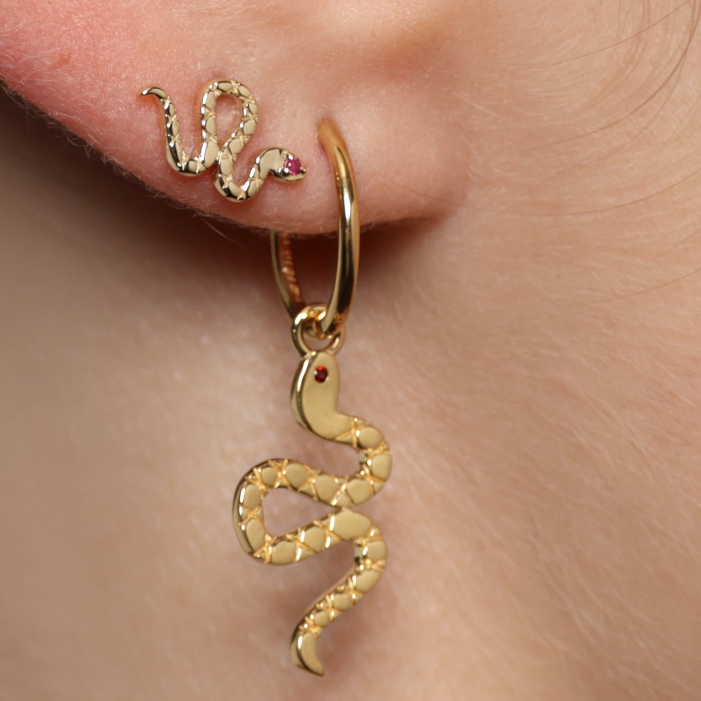 SNAKE CHARM - The Fête