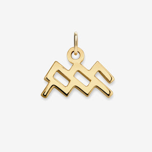 Aquarius Charm