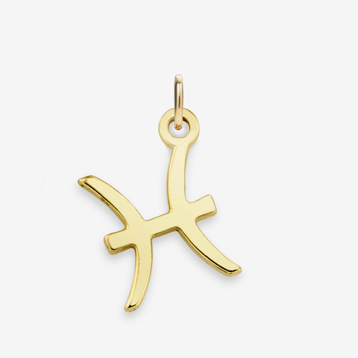 Pisces Zodiac Charm
