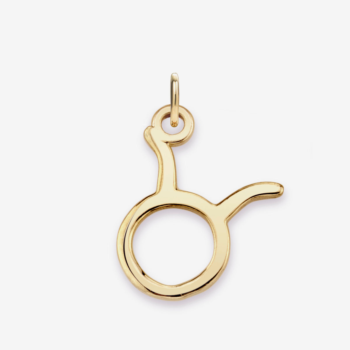 Taurus Zodiac Charm