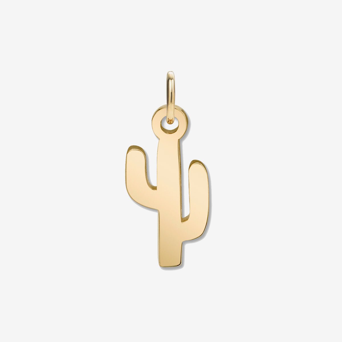 CACTUS CHARM - The Fête