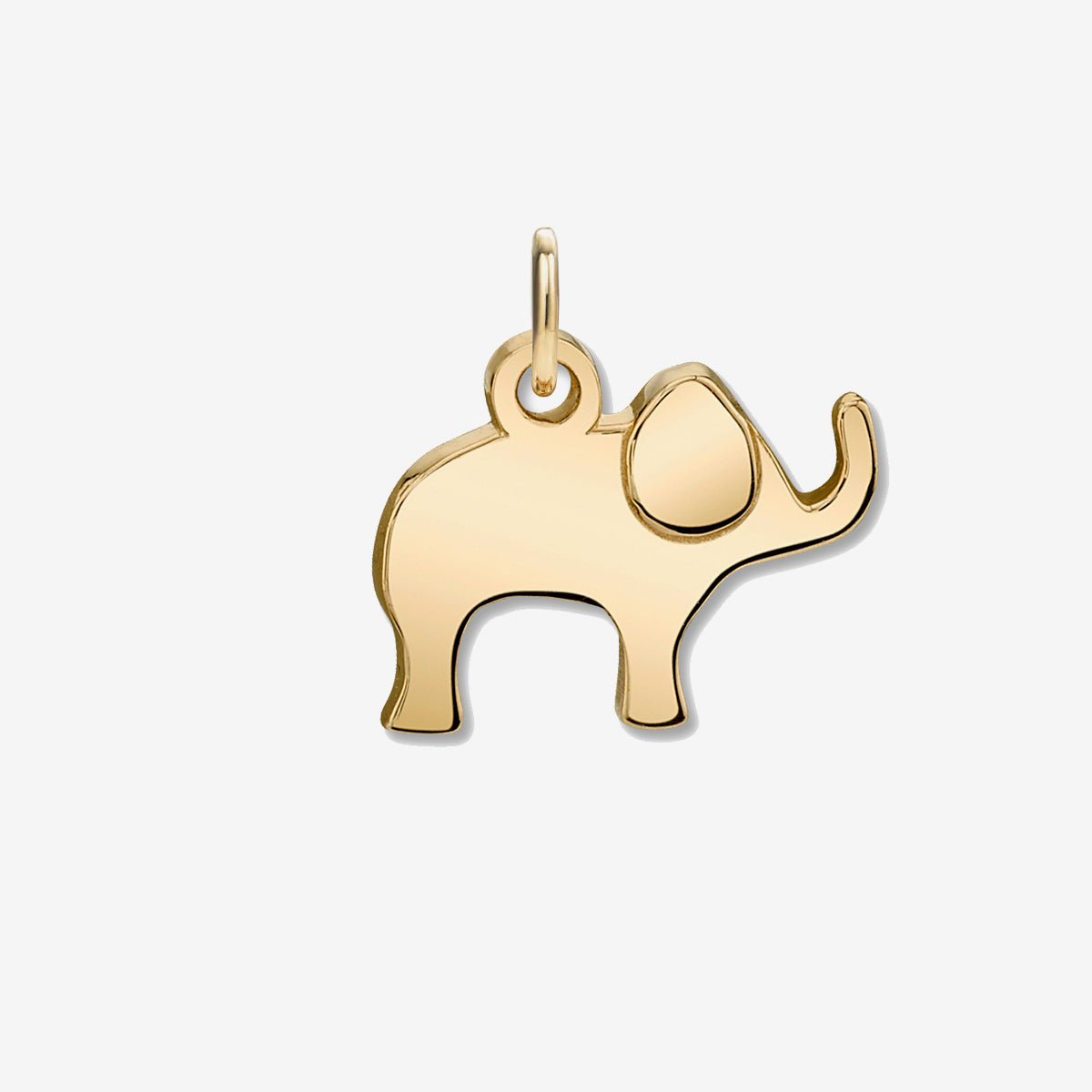 ELEPHANT CHARM - The Fête