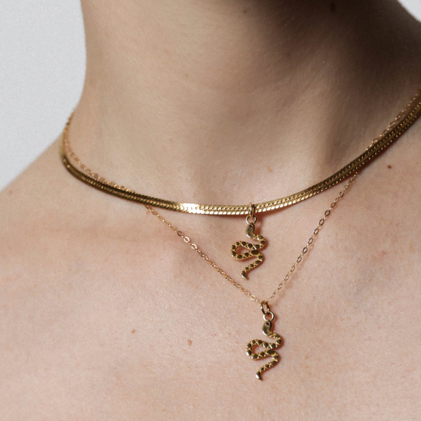 SNAKE CHARM - The Fête